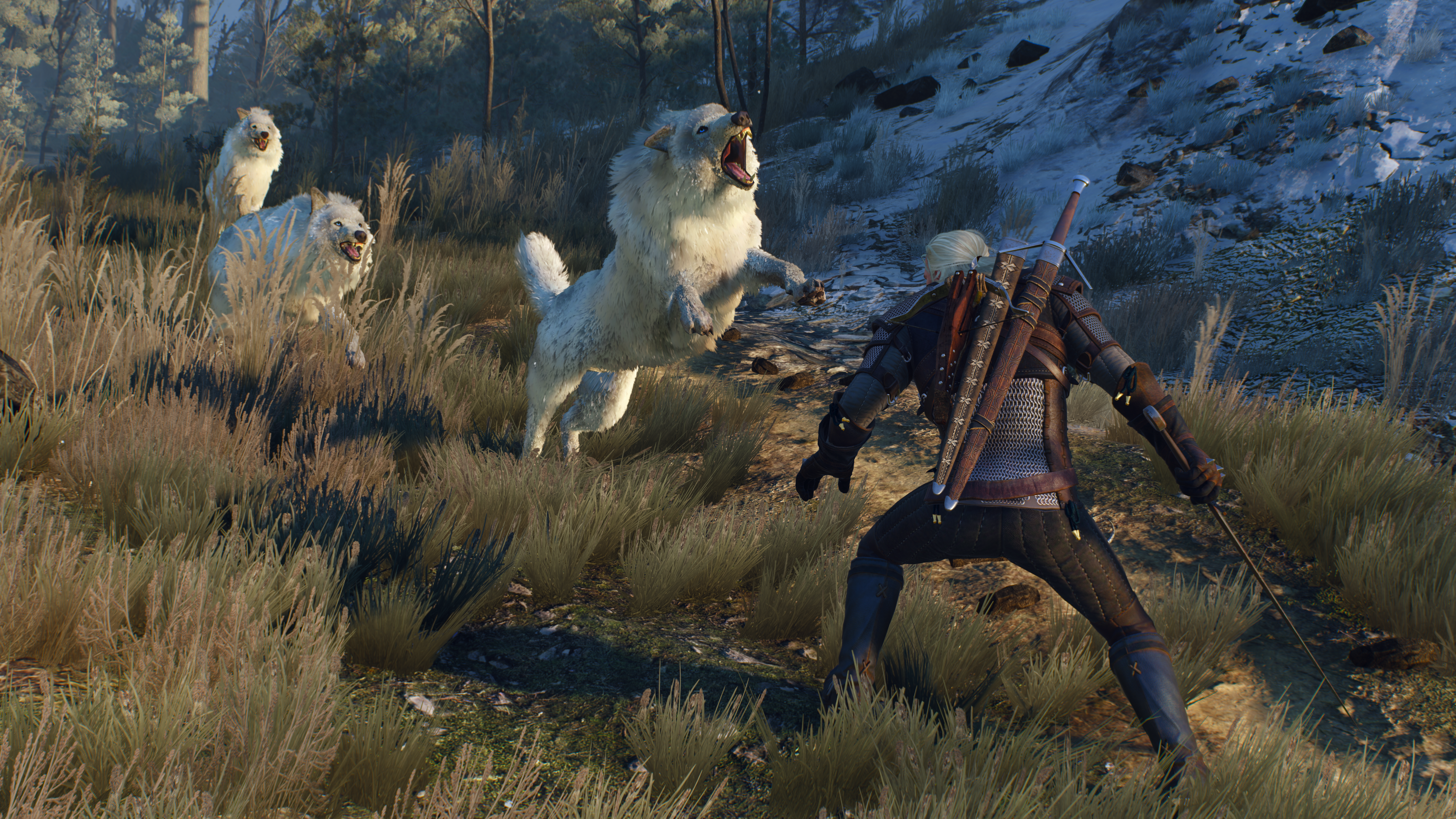 The_Witcher_3_Wild_Hunt_These_animals_can_rip_you_apart_in_seconds_if_you%27re_not_careful.png