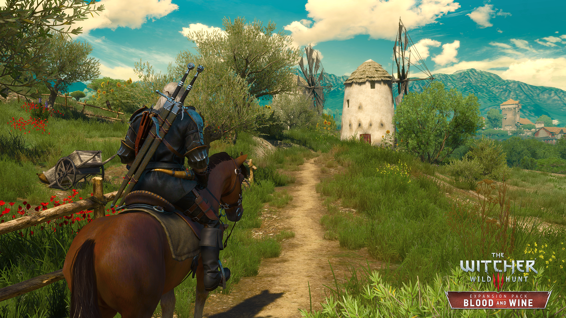 witcher 3 more blood